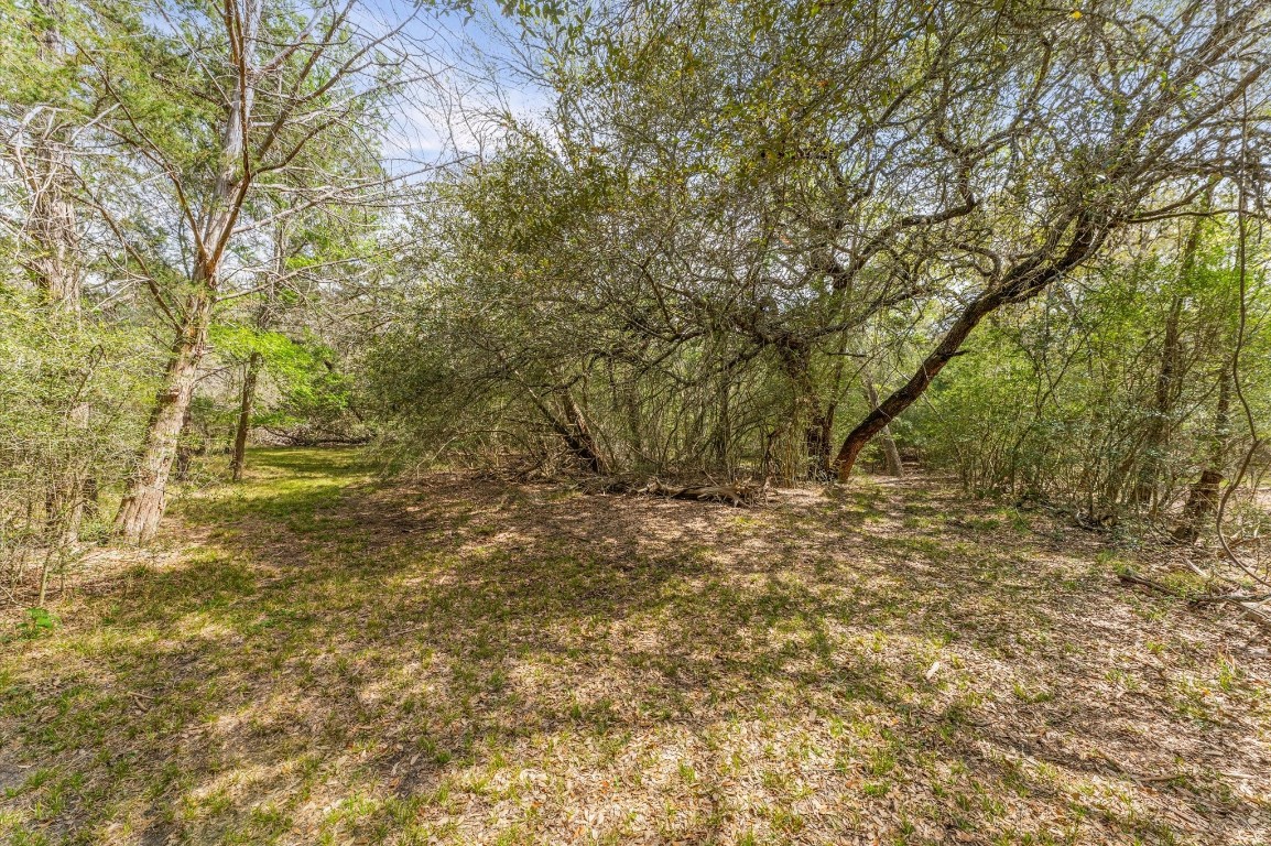1221 Abel Road New Ulm, TX 78950 - Photo 3 of 15 a view of a yard with plants and trees