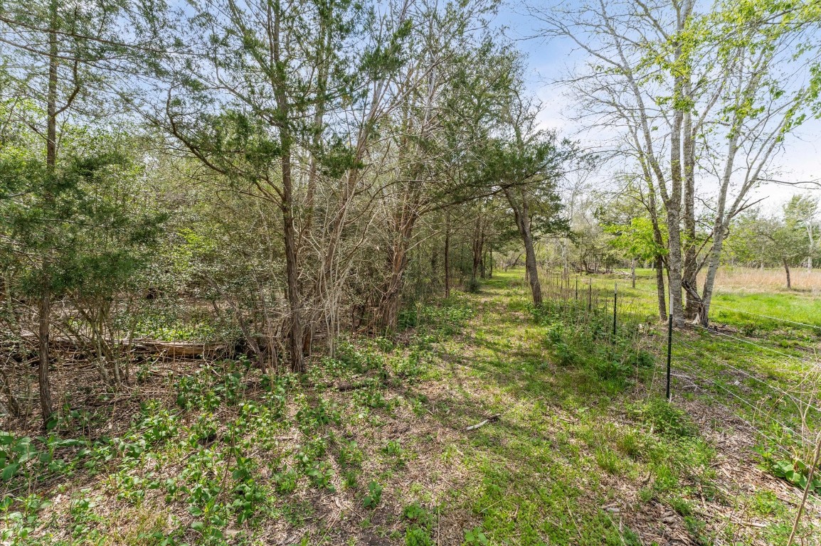 1221 Abel Road New Ulm, TX 78950 - Photo 5 of 15 a big yard with lots of green space and trees