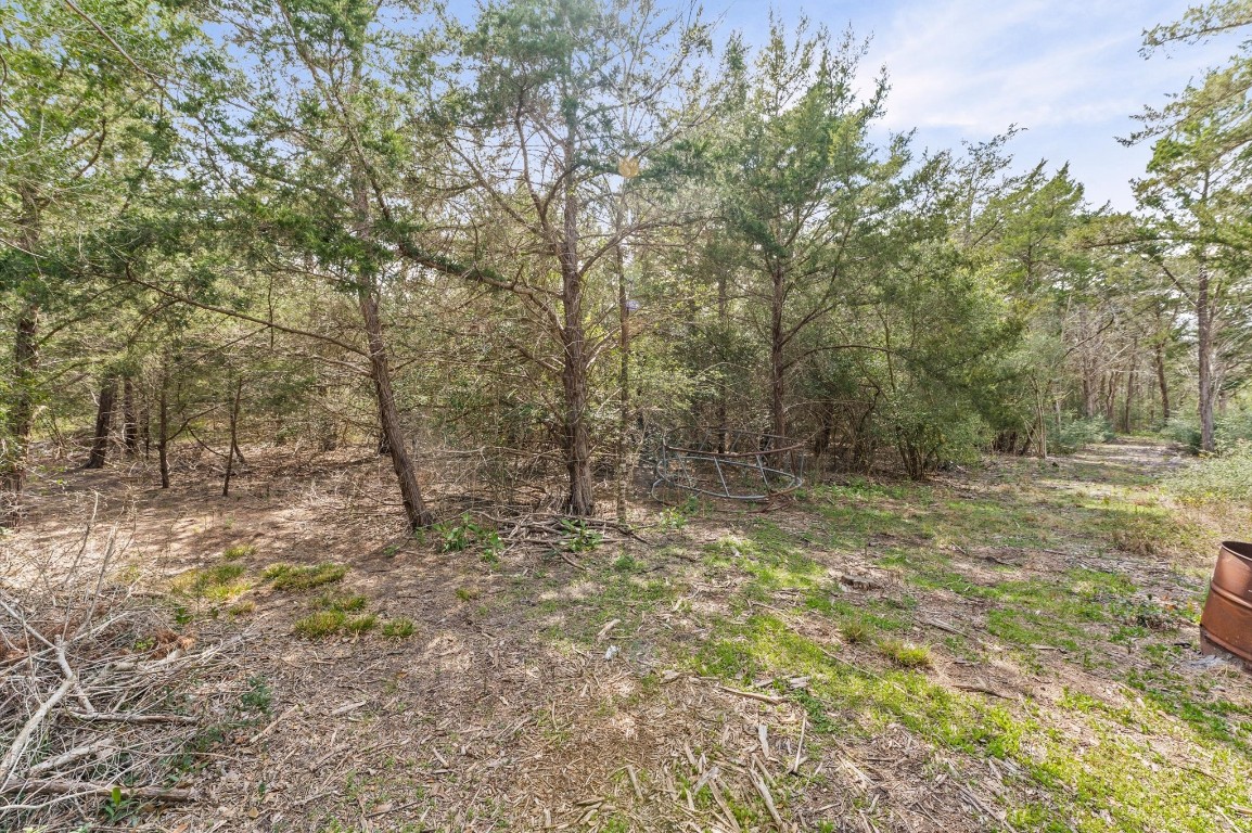 1221 Abel Road New Ulm, TX 78950 - Photo 7 of 15 a view of backyard with green space