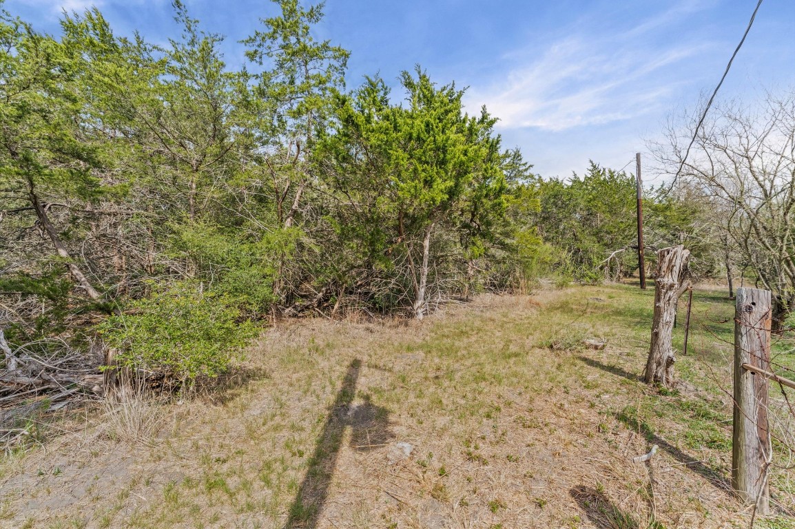 1221 Abel Road New Ulm, TX 78950 - Photo 10 of 15 a view of a yard with plants and trees
