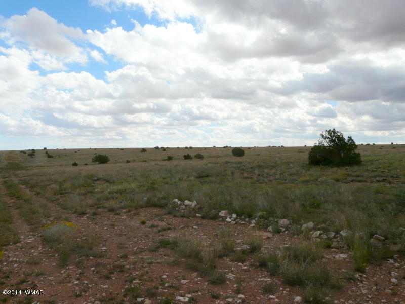 Ccr Unit 3 Ccr Heber, AZ 85928 - Photo 2 of 5