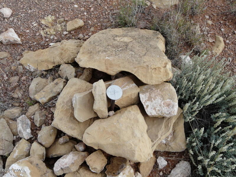 Ccr Unit 3 Ccr Heber, AZ 85928 - Photo 3 of 5