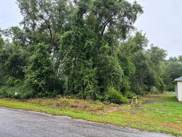 $28,000 | 11 Fisher Way Course, Ocklawaha, FL 32179