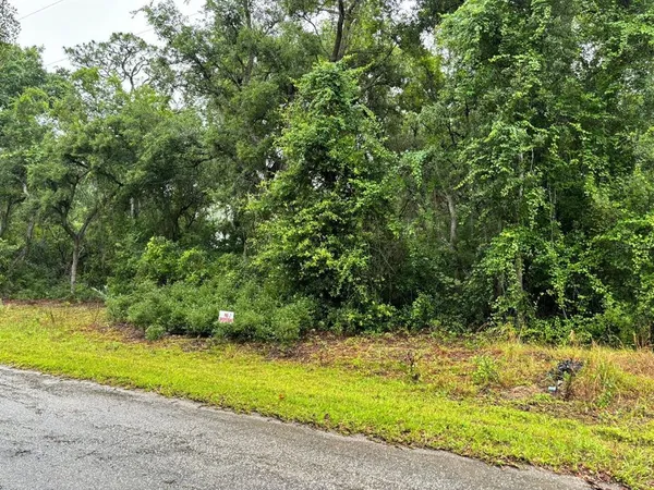 $28,000 | 11 Fisher Way Course, Ocklawaha, FL 32179