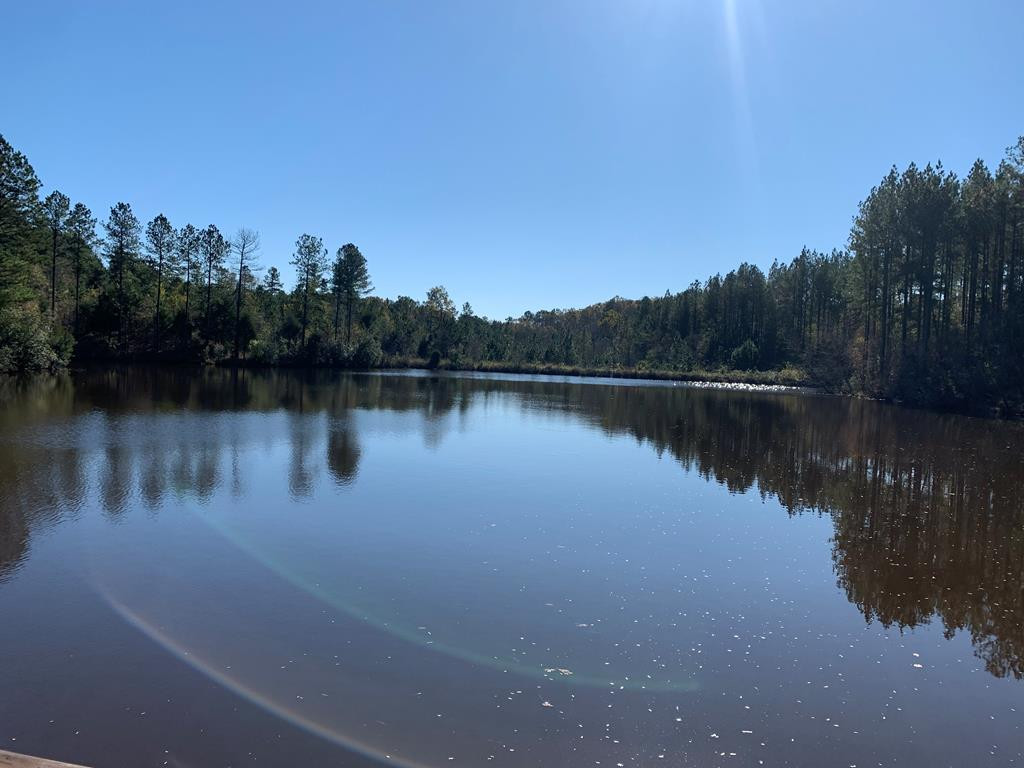 0 Highway 23 West Edgefield, SC 29824 - Photo 1 of 3