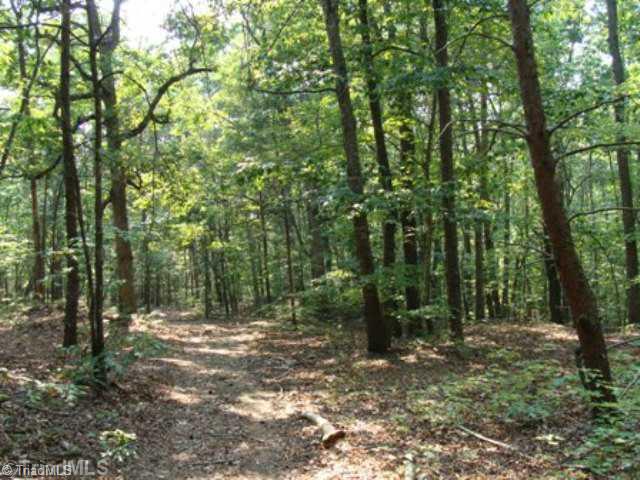 12 Clark Road Snow Camp, NC 27349 - Photo 3 of 5 Land/Lot.