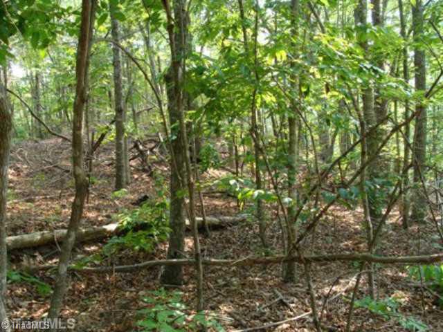 12 Clark Road Snow Camp, NC 27349 - Photo 4 of 5 Land/Lot.