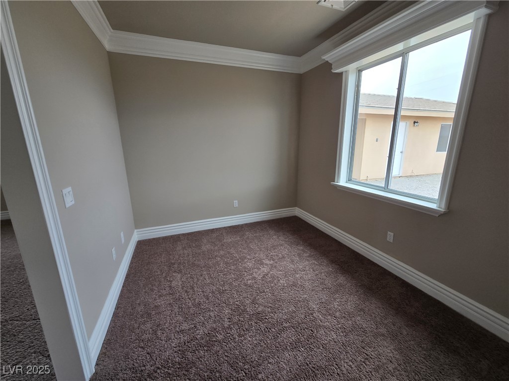 4320 Tiger Road Pahrump, NV 89048 - Photo 19 of 33 Sitting room in Primary Bedroom featuring dark colored carpet and ornamental molding