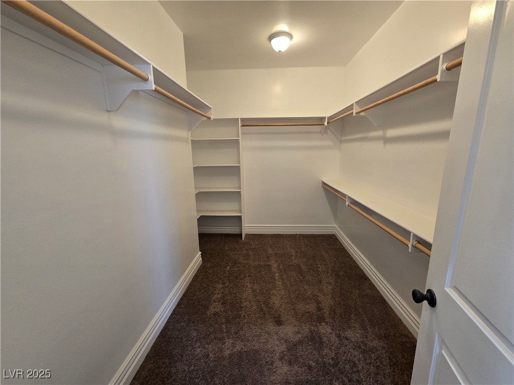 4320 Tiger Road Pahrump, NV 89048 - Photo 25 of 33 Spacious closet in Primary Bedroom featuring dark colored carpet