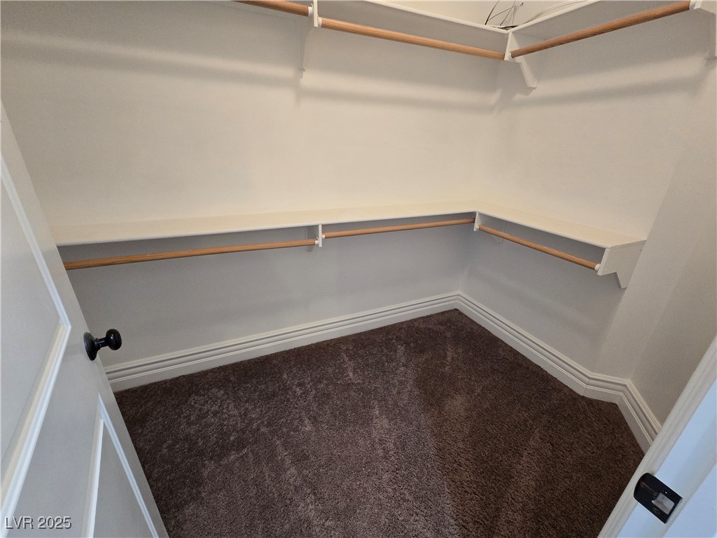 4320 Tiger Road Pahrump, NV 89048 - Photo 26 of 33 Spacious closet in Primary Bedroom with dark colored carpet