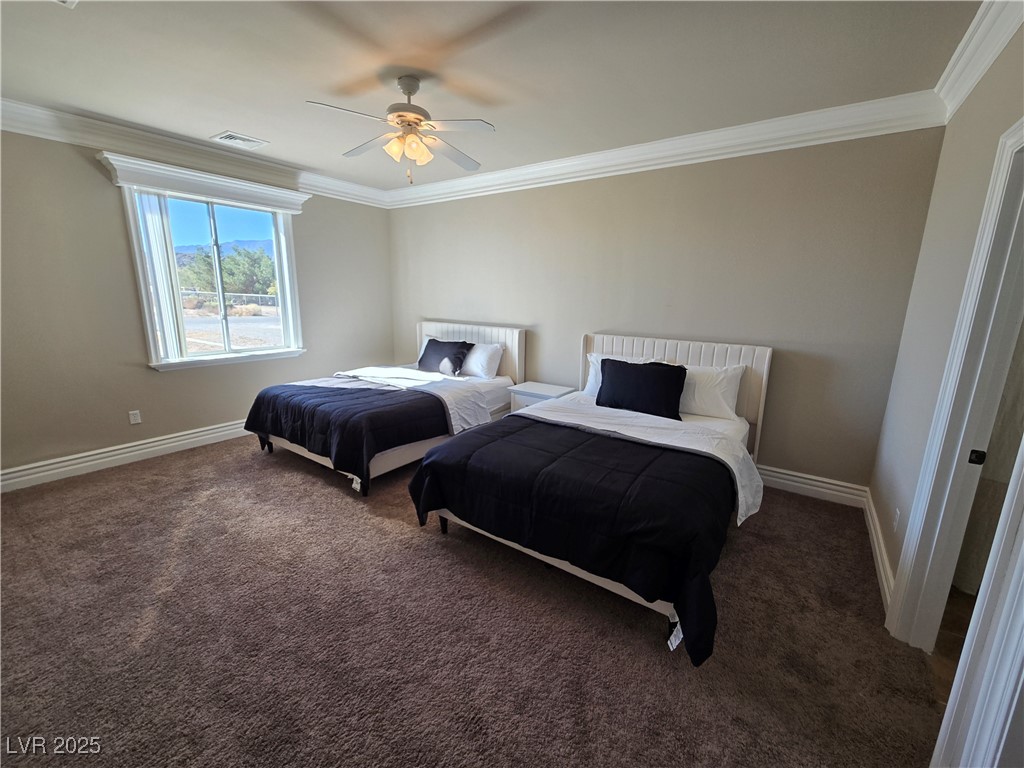 4320 Tiger Road Pahrump, NV 89048 - Photo 9 of 33