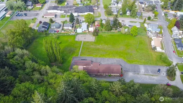 a view of a flower in a garden