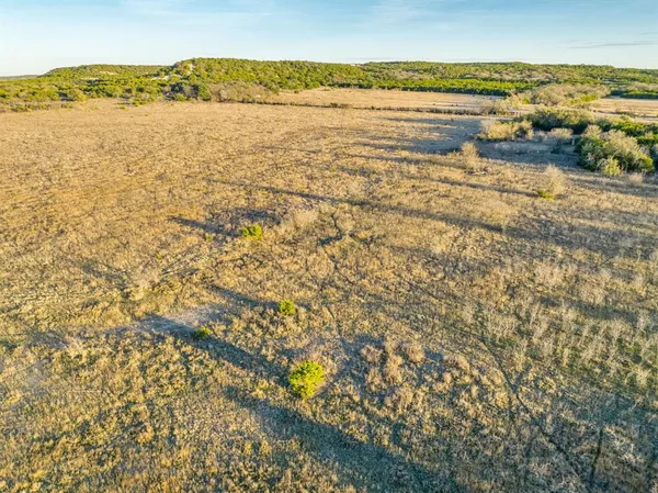 an aerial view of greenery