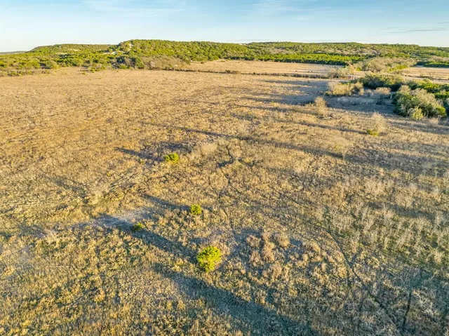 an aerial view of greenery