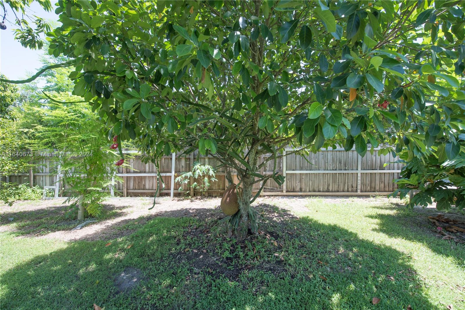 29744 Southwest 170th Avenue Homestead, FL 33030 - Photo 6 of 44 a house with lots of trees