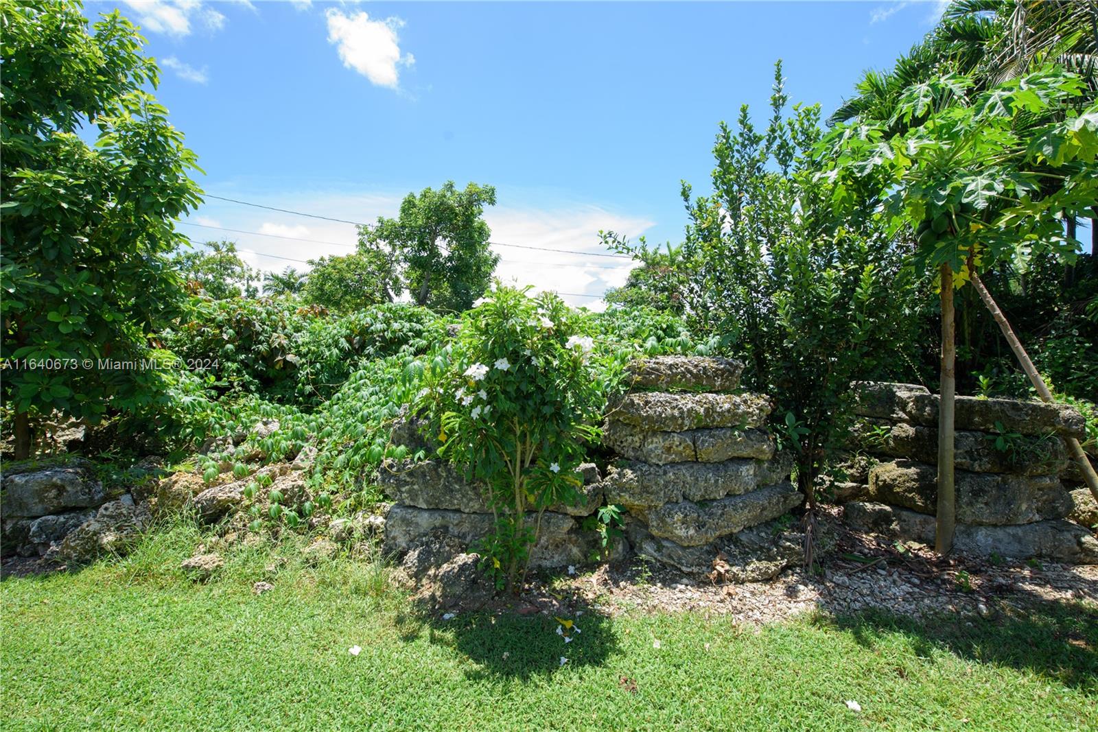 29744 Southwest 170th Avenue Homestead, FL 33030 - Photo 9 of 44 a backyard of a house with lots of green space