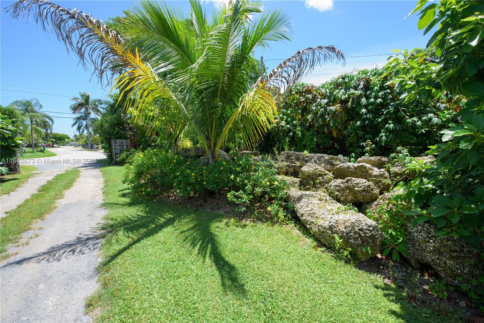 29744 Southwest 170th Avenue Homestead, FL 33030 - Photo 10 of 44 a view of a garden with a tree