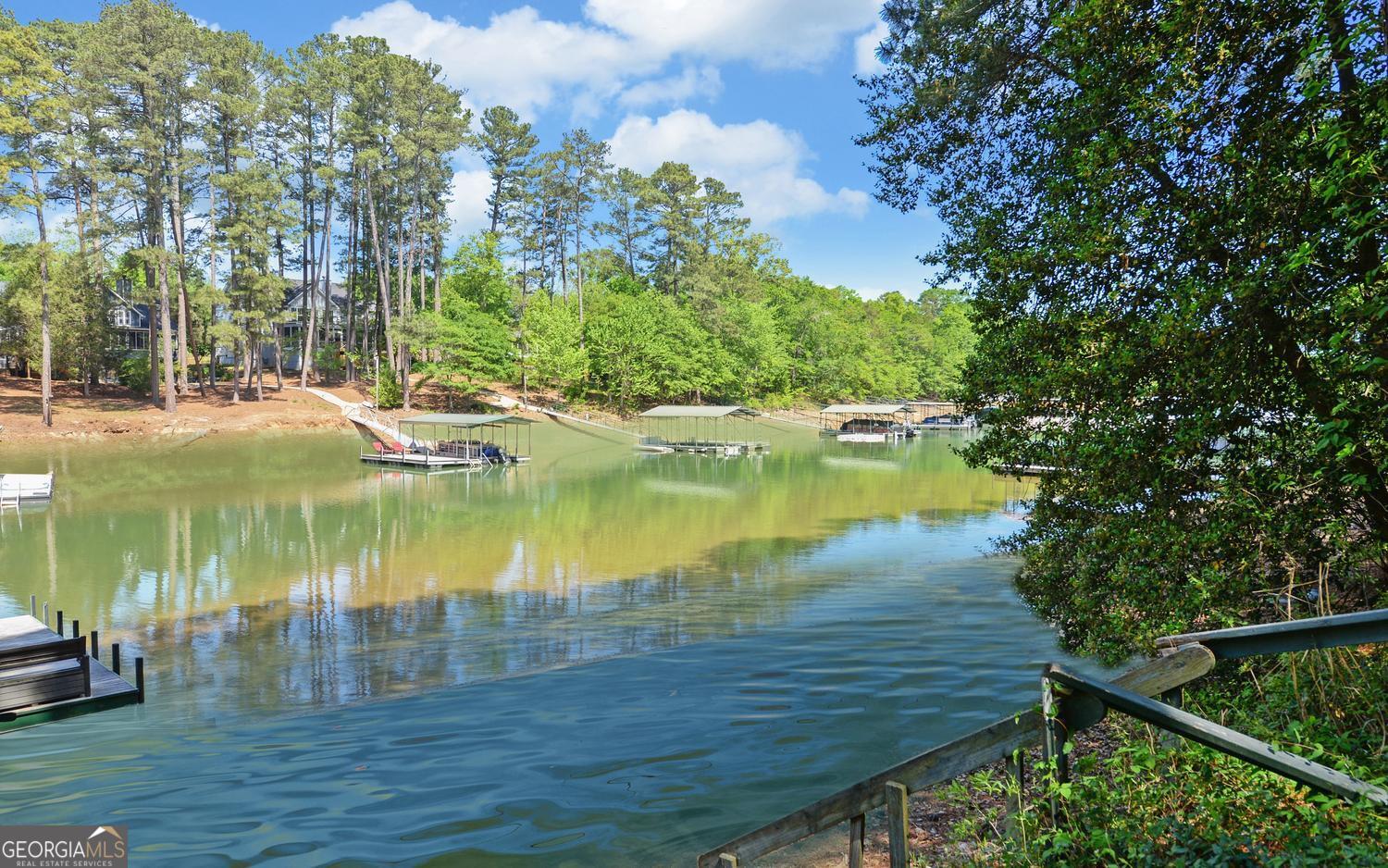 227 Capri Drive Hartwell, GA 30643 - Photo 54 of 75