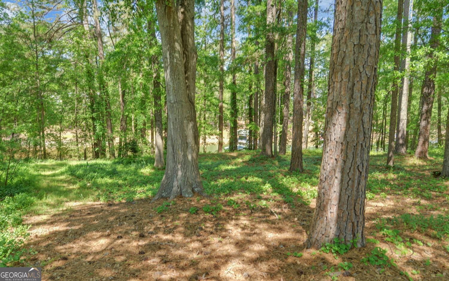 227 Capri Drive Hartwell, GA 30643 - Photo 55 of 75 a view of outdoor space and trees