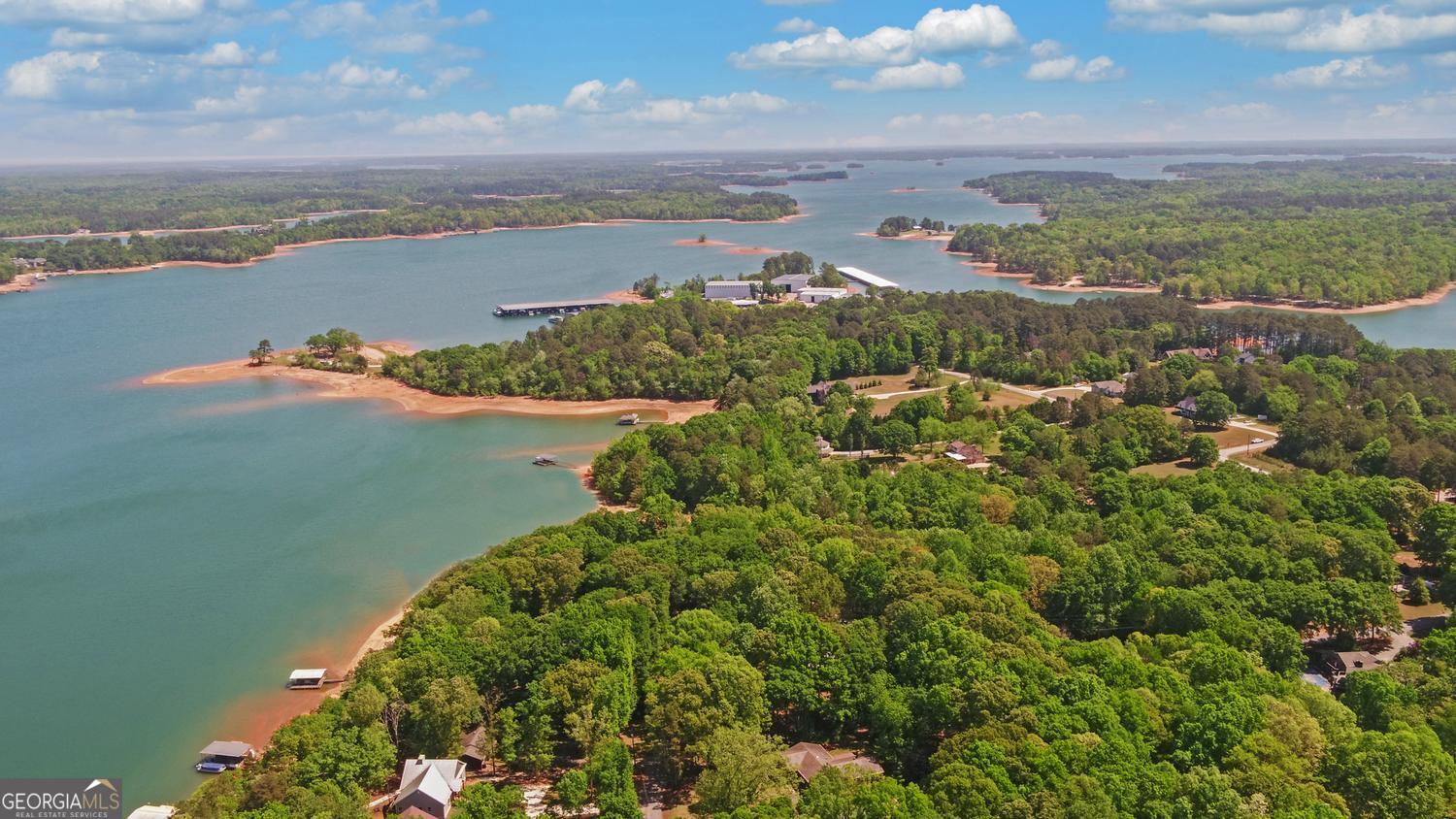 227 Capri Drive Hartwell, GA 30643 - Photo 58 of 75 a view of a lake with a city