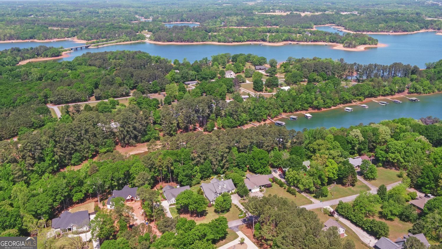 227 Capri Drive Hartwell, GA 30643 - Photo 60 of 75 an aerial view of a houses with yard