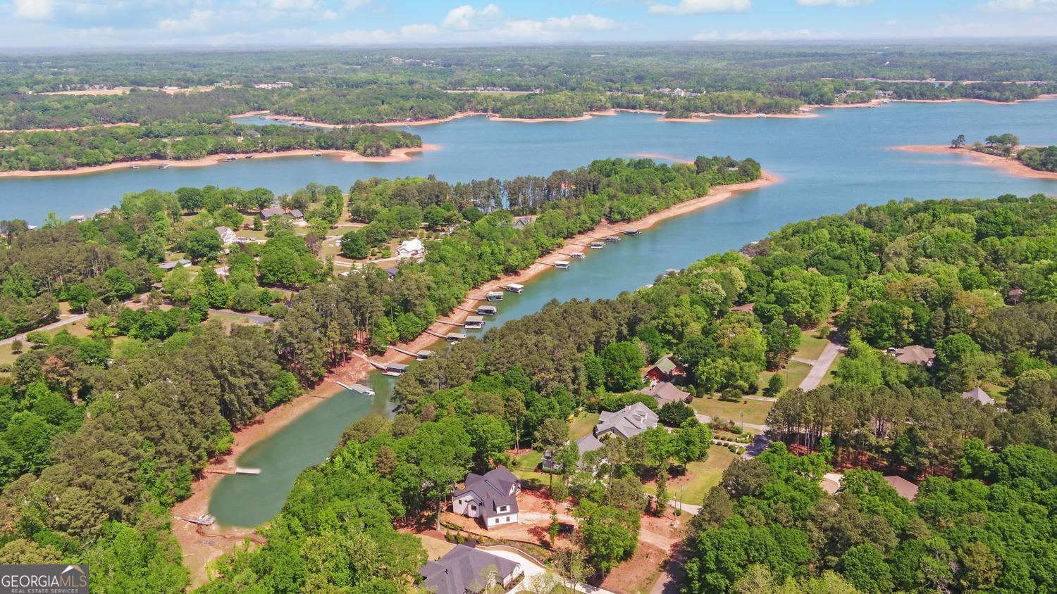 227 Capri Drive Hartwell, GA 30643 - Photo 62 of 75 an aerial view of lake with residential house with swimming pool and green space