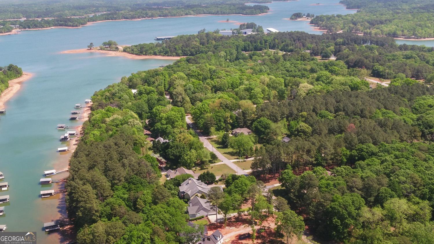 227 Capri Drive Hartwell, GA 30643 - Photo 64 of 75 an aerial view of a house with a yard