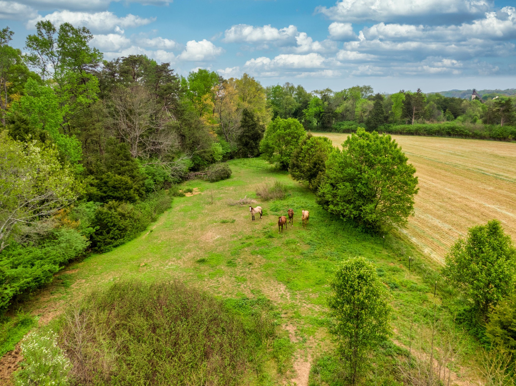 155 Campground Road Madisonville, TN 37354 - Photo 17 of 18 Gallery Image 17