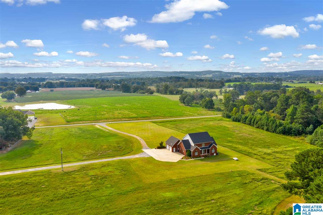 1080 Moore Road Altoona, AL 35952 - Photo 5 of 49