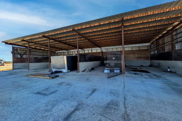 a view of a backyard with wooden floor