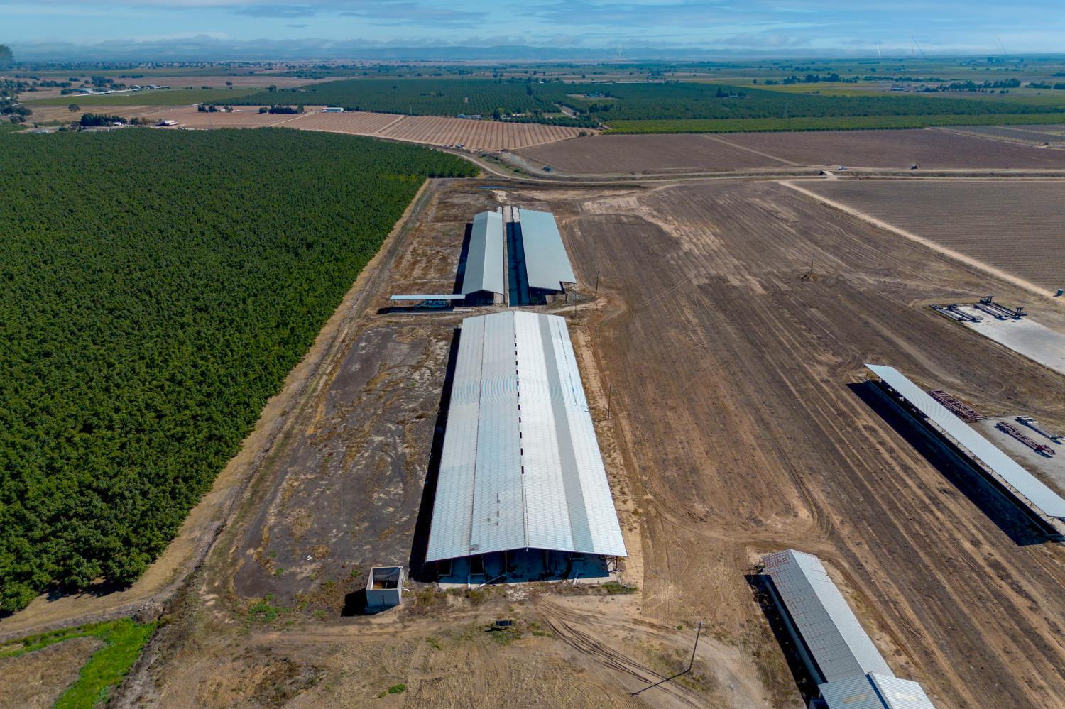 15918 North Jack Tone Road Lodi, CA 95240 - Photo 39 of 67 a view of a yard with a floor