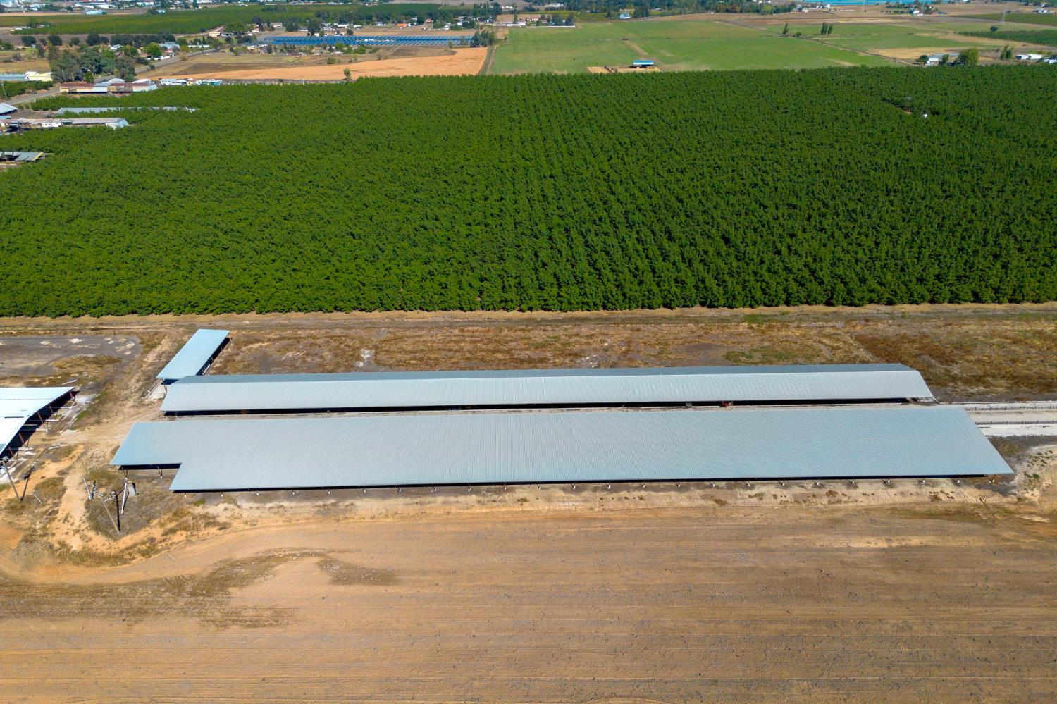 15918 North Jack Tone Road Lodi, CA 95240 - Photo 41 of 67 a view of an outdoor space