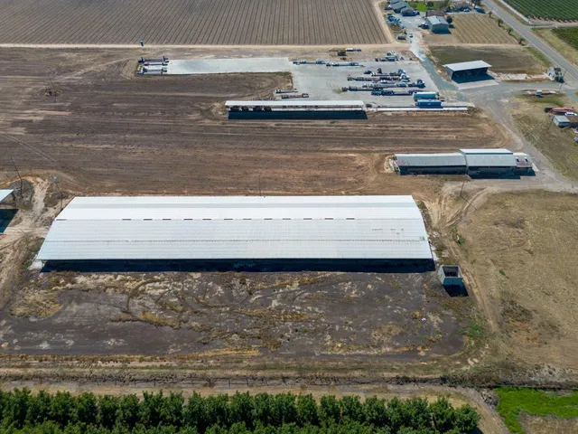 a view of a small yard