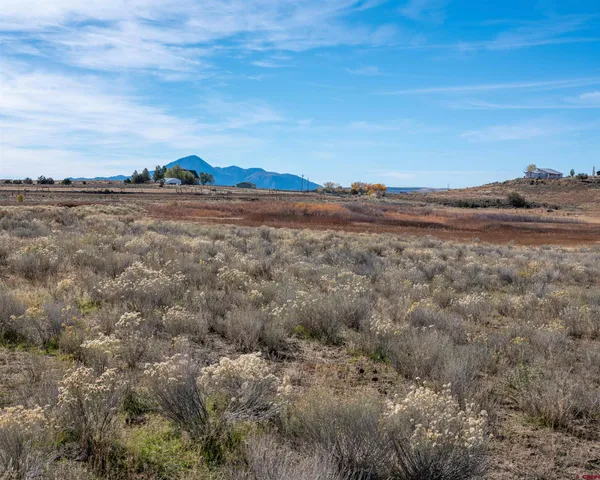 a view of an ocean beach