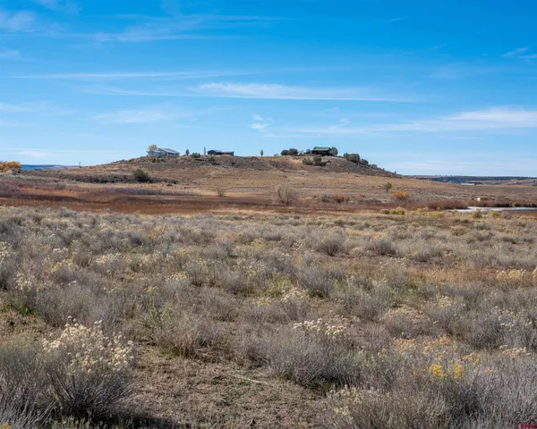 a view of an ocean beach