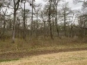 $179,900 | 15530 Tierra Grande Drive, Needville, TX 77461