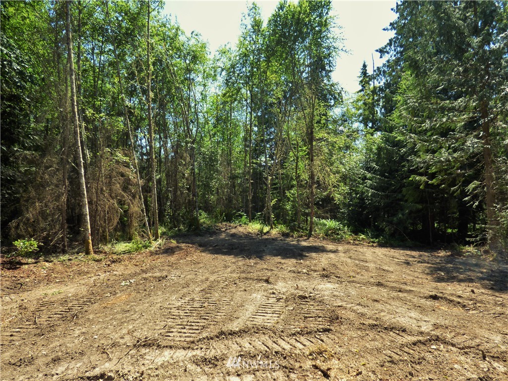 0 Merrill Way Port Angeles, WA 98362 - Photo 11 of 16