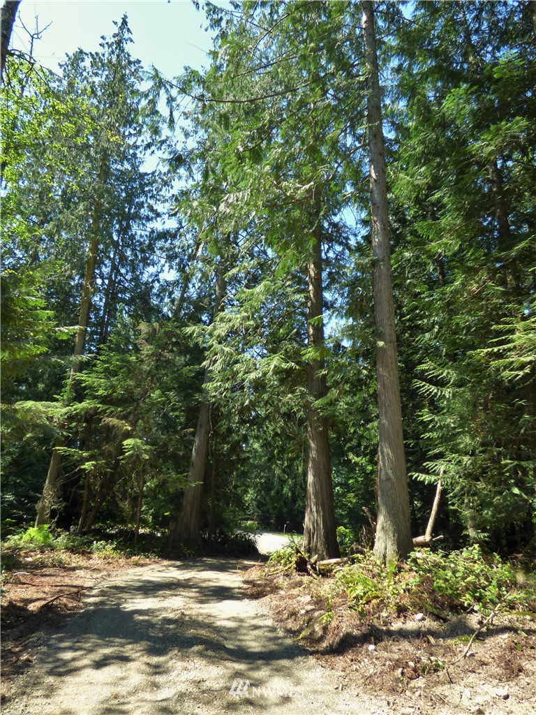0 Merrill Way Port Angeles, WA 98362 - Photo 14 of 16