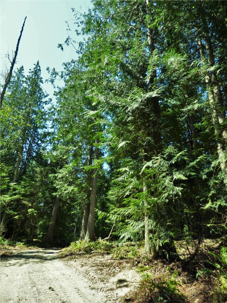 0 Merrill Way Port Angeles, WA 98362 - Photo 15 of 16