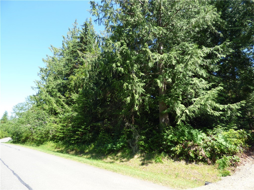 0 Merrill Way Port Angeles, WA 98362 - Photo 16 of 16