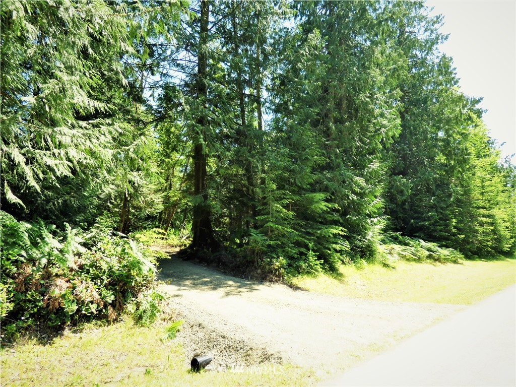 0 Merrill Way Port Angeles, WA 98362 - Photo 3 of 16
