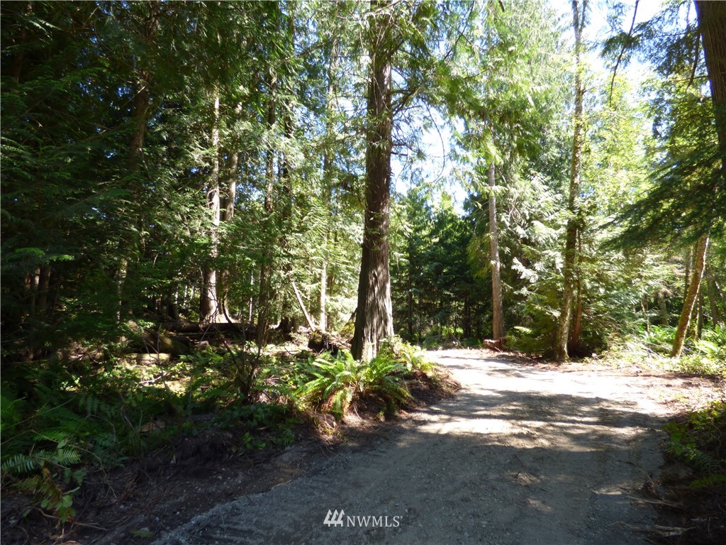 0 Merrill Way Port Angeles, WA 98362 - Photo 5 of 16