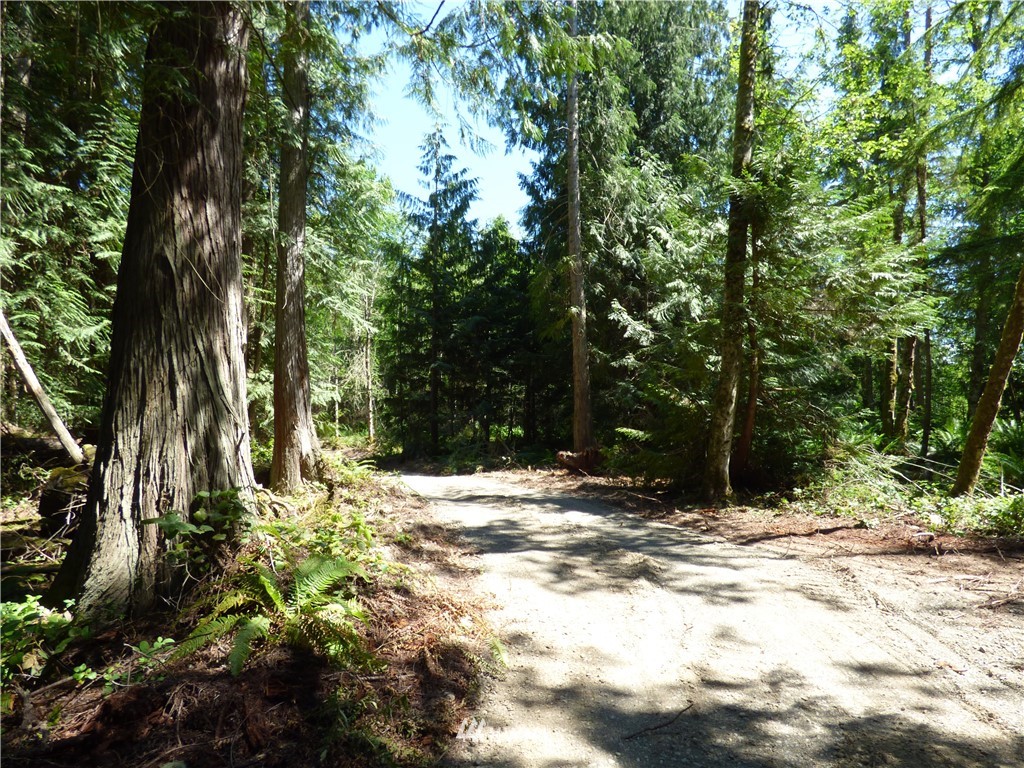 0 Merrill Way Port Angeles, WA 98362 - Photo 6 of 16