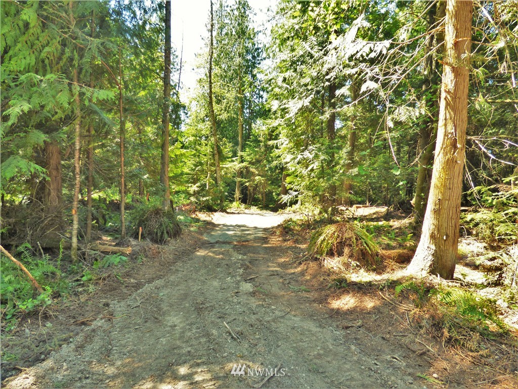 0 Merrill Way Port Angeles, WA 98362 - Photo 7 of 16