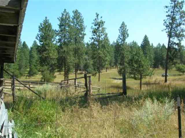 209 West Wild Rose Road Colbert, WA 99005 - Photo 8 of 9