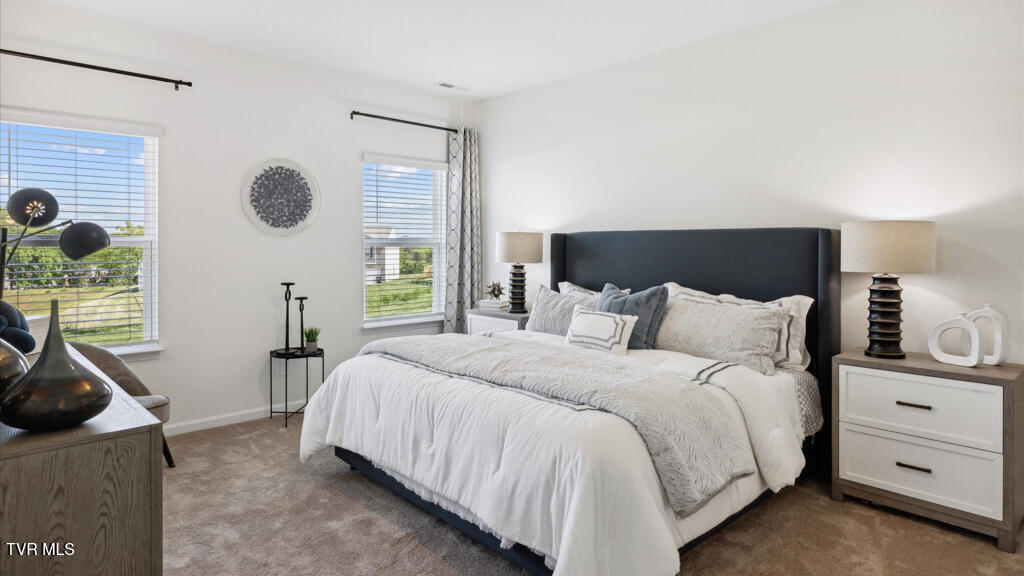 237 Chimney Vw Loop Blountville, TN 37617 - Photo 12 of 28 10 Primary Hero