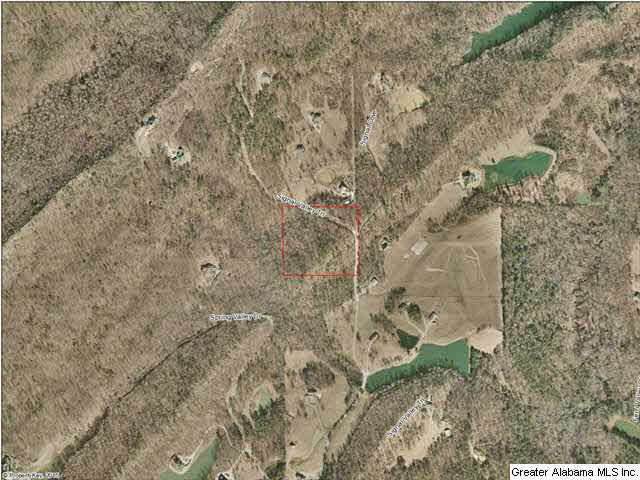 1 Signal Valley Trail Chelsea, AL 35043 - Photo 10 of 10
