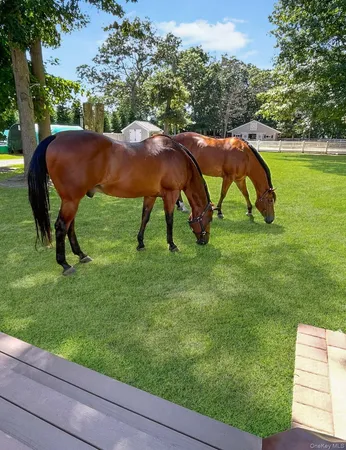 a view of a room with an umbrella