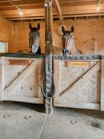 view of living room with furniture