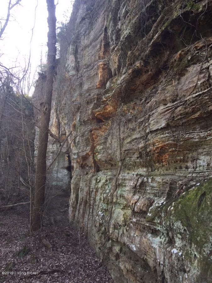 1600 Warren Purcell Road Leitchfield, KY 42754 - Photo 20 of 34 Warren Percell 20